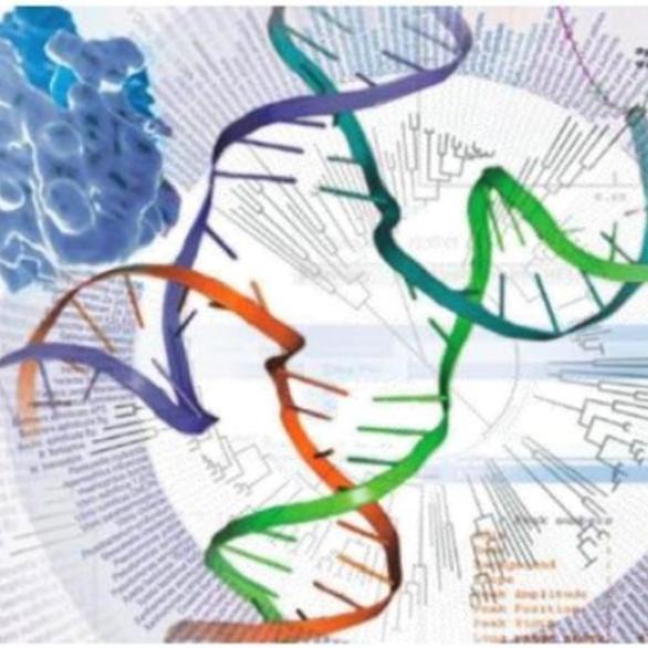 Bioinformatics 16-17